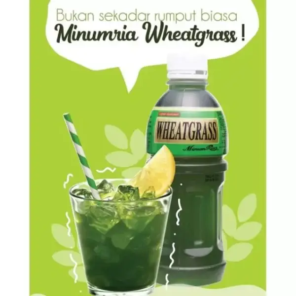 5d37260e0e28fda87147eb8aa33a1d09.webp Minumria Wheat Grass Drink