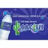 d05b130260ec5a126fa5bdeb1be01c4c.webp Cactus Natural Mineral Water