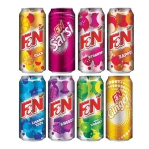 Assorted Flavour Drinks, 1 Carton